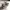 NIKE AF1 WHITE BLACK photo 1