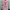 Chrome Hearts Matty Boy Vanity Pink photo 2
