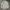 Sanghai The Jester long sleeved Shirt / kemeja panjang  photo 2
