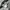 Lengan 3/4 Sanghai Design United photo 8