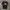 Tnf Biglogo Tshirt photo 1
