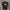 Tnf Biglogo Tshirt