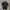 Tnf Small Logo Tshirt