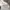 Nike paris saint germain windrunner jacket youth/kids photo 10