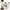 Rende white skirt photo 1