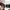 Authentic Original Tory Burch TB Britten Duo Envlope Contine photo 2