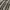 Marcopolo Boxy Vintage Shirt photo 4