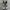 CDG PLAY x Converse Chuck 70S Hi Original photo 5