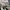 CDG Play x Converse Chuck 70S Hi 'Multi Heart' Original photo 8