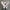 CDG Play x Converse Chuck 70S Hi 'Multi Heart' Original photo 4