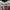 Kaos Lengan Panjang Second Brand Sweater Crewneck TopTen Pre photo 3