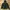 Phenix Thenderon Dignite Thermo Jacket photo 1