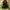 Phenix Thenderon Dignite Thermo Jacket photo 3