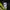 Phenix Thenderon Dignite Thermo Jacket photo 10
