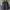 Jacket Parka DC Shoe USA Gray photo 1