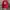 Crewneck RHCP Red Hot Chili Peppers photo 2