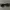 Coach sunglasses photo 5