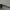 Coach sunglasses photo 6