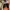 Vans Authentic photo 4