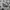 Hoodie Zipper Motif Army Squa Tident Authentic photo 3