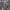 Hoodie Zipper Motif Army Squa Tident Authentic photo 4