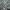 Hoodie Zipper Motif Army Squa Tident Authentic photo 5