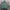 Hoodie Zipper Motif Army Squa Tident Authentic photo 7