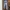 DIESEL INDUSTRIES Blue Washed Regular Denim Buttonfly Pants photo 5
