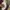 Celana Pendek Vans Chinos Maroon photo 2