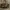 louis vuitton vintage shoulderbag [WITH NOSER] photo 2