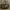 Louis Vuitton Vintage Shoulderbag [WITH NOSER]