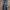Long Pants Jeans Evisu Ripped Fadding photo 3