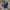 Long Pants Jeans Evisu Ripped Fadding photo 1