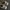 Nike Indie Casual Sneakers Pria white tan photo 6