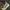 Nike Indie Casual Sneakers Pria white tan photo 5