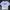 T-shirt Karl Kani