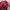 Uniqlo Jaket Bulu Polar Kotak Merah photo 2