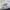 Nike Vintage Sportswear Windbreaker Pria white black photo 7