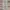 carhartt klondike corduroy pants #FBLP116 photo 4
