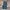 Carhartt Rugged Flex Canvas Pants #FBLP134