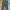carhartt rugged flex canvas pants #FBLP134 photo 6