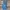 Carhartt Carpenter Jeans Pants #FBLP144