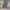 carhartt rugged flex canvas cargo work pants #FBLP156 photo 1