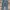 carhartt rugged flex canvas cargo work pants #FBLP156 photo 6