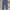 carhartt rugged flex canvas work pants #FBLP135 photo 5