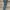 carhartt rugged flex canvas work pants #FBLP135 photo 2