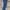 carhartt carpenter jeans pants #FBLP142 photo 2