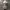 Y2K Avant Garde Bodysuit Wanita multicolor photo 6