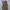 Vintage Skirt Wanita tan photo 1