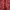 Fuzzy Cardigan Maroon Flower Motif photo 4